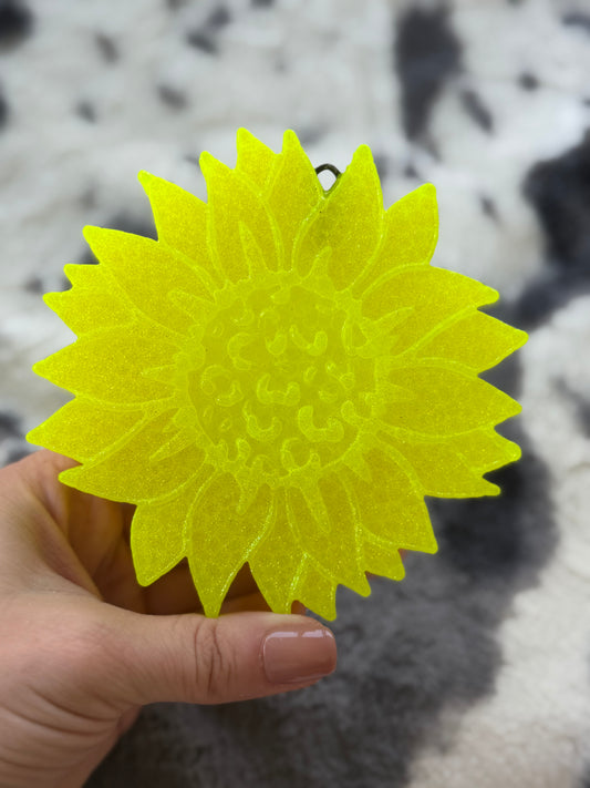 Sun-Kissed Bloom