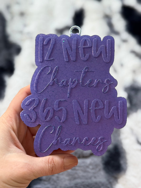 12 New Chapters, 365 New Chances